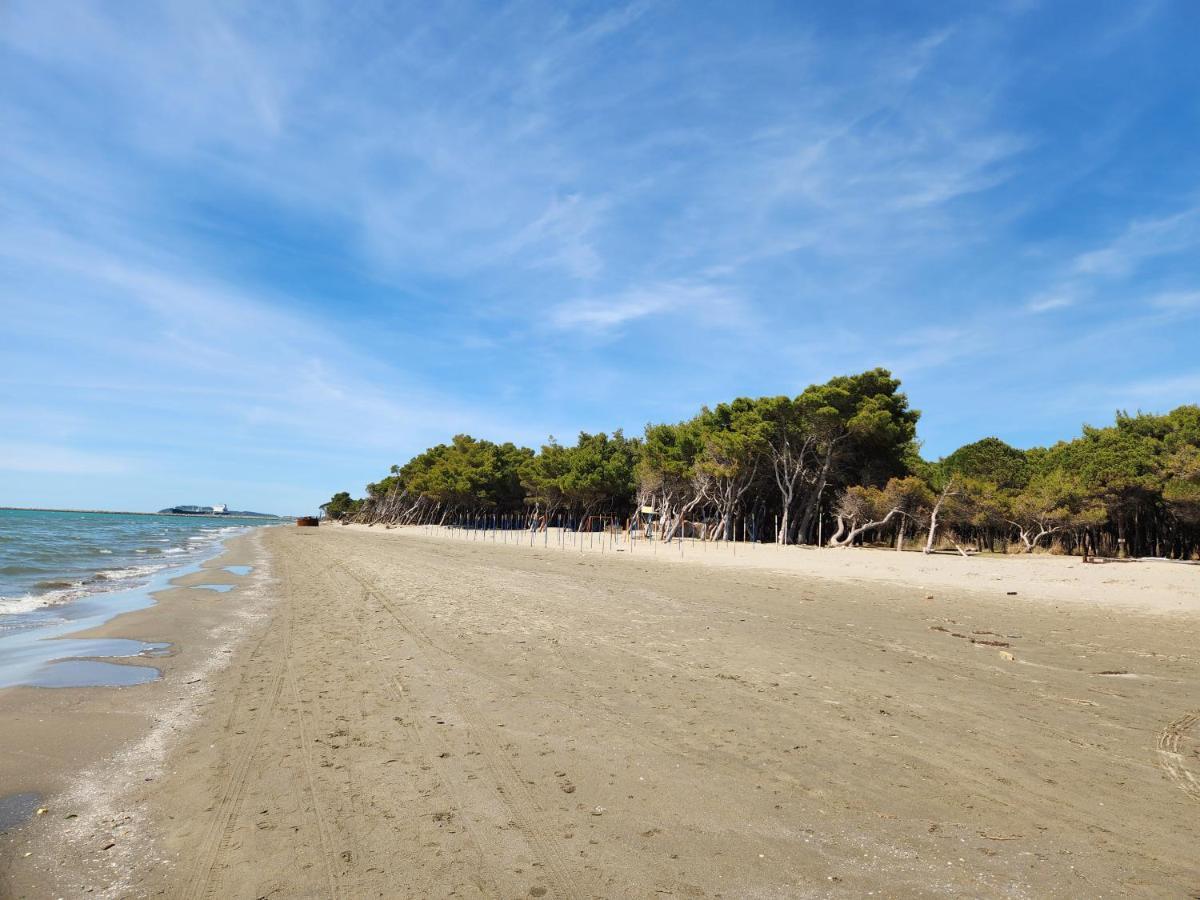 Sea Front Villa Vlorë Εξωτερικό φωτογραφία